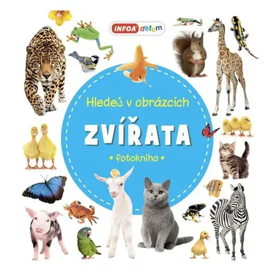 Zvířata - Hledej v obrázcích