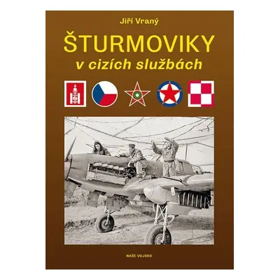 Šturmoviky v cizích službách - Jiří Vraný