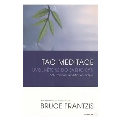 Tao meditace - Bruce Frantzis