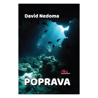 Poprava, 1. vydání - David Nedoma