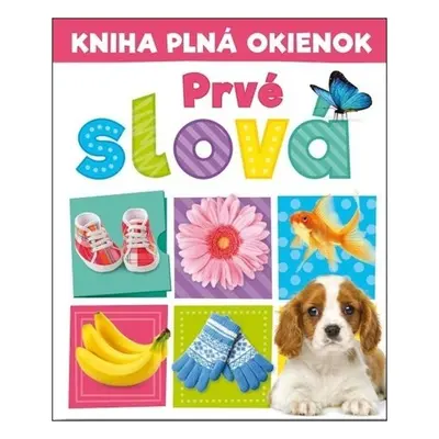 Kniha plná okienok Prvé slova - Andrew Burgess