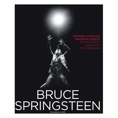 Bruce Springsteen - Gillian G. Gaar