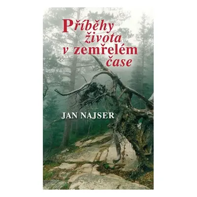 Příběhy života v zemřelém čase - Jan Najser