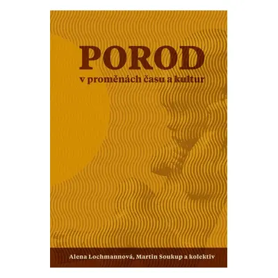 Porod v proměnách času - Alena Lochmanová