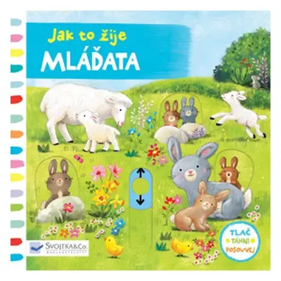 Mláďata - Jak to žije - Ag Jatkowska