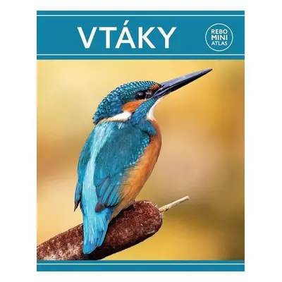 Vtáky miniatlas