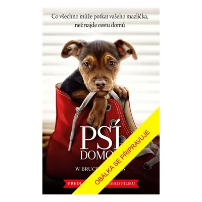 Psí domov, 3. vydání - Bruce W. Cameron