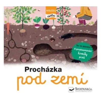 Procházka pod zemí - Následuj cestu - Lambilly Élisabeth de