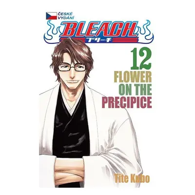 Bleach 12: Flower on the Precipice - Noriaki Kubo