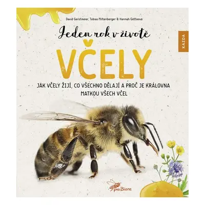 Jeden rok v životě včely - Jak včely žijí, co všechno dělají a proč je královna matkou všech vče