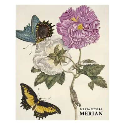 Maria Sibylla Merian - Daniel Kiecol