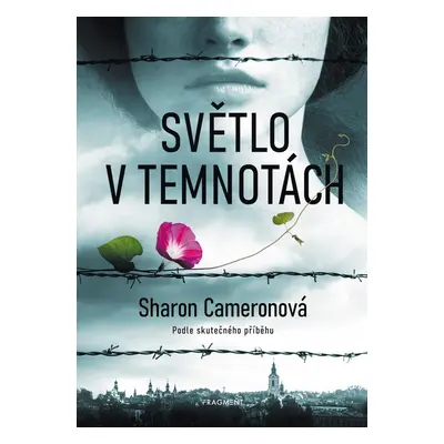 Světlo v temnotách - Sharon Cameronová