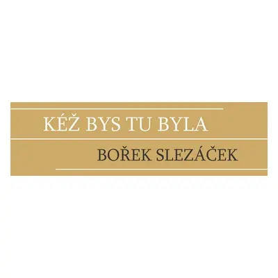 Kéž bys tu byla - Bořek Slezáček