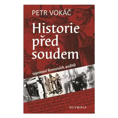 Historie před soudem - Tajemství forenzních auditů - Petr Vokáč