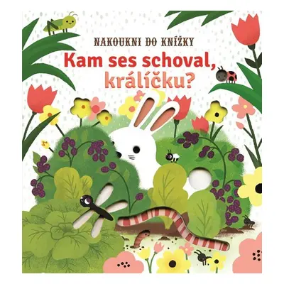 Kam ses schoval, králíčku? - Nakoukni do knížky - Sam Taplin