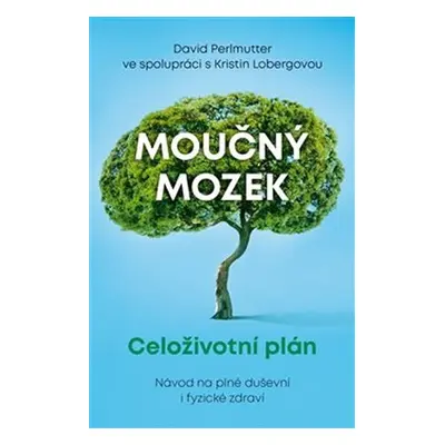 Moučný mozek - Celoživotní plán - David Perlmutter