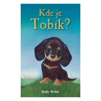 Kde je Tobík? - Holly Webb