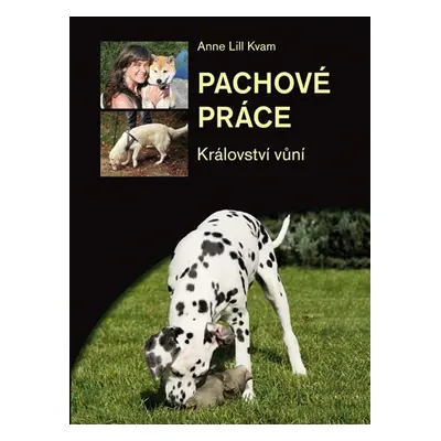 Pachové práce aneb Království vůní - Anne Lill Kvam