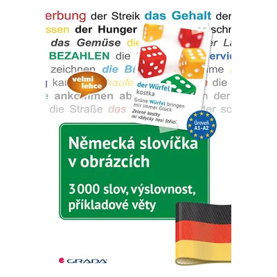 Německá slovíčka v obrázcích - 3000 slov, výslovnost, příkladové věty - Arndt Knieper