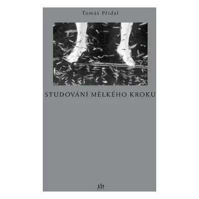 Studování mělkého kroku - Tomáš Přidal