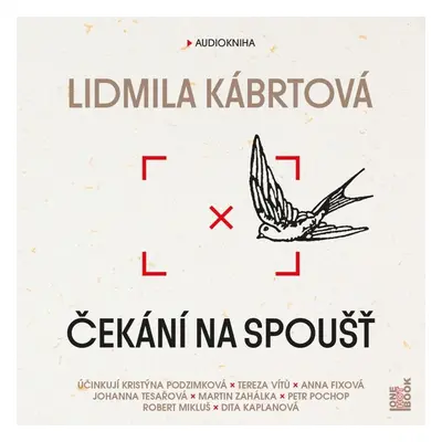 Čekání na spoušť - CDmp3 - Lidmila Kábrtová