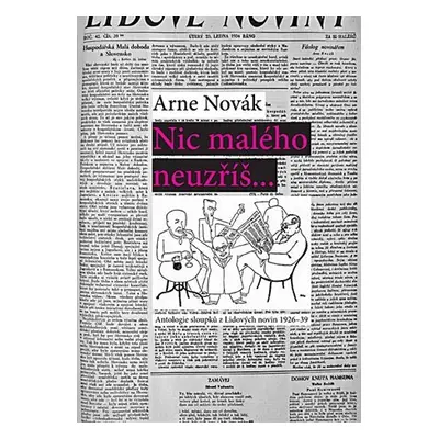 Nic malého neuzříš... Antologie sloupků z Lidových novin 1926-39 - Arne Novák