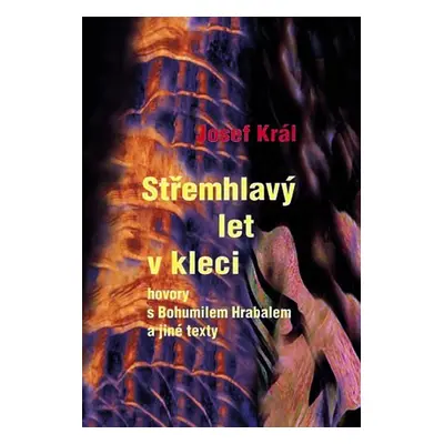 Střemhlavý let v kleci - hovory s Bohumilem Hrabalem a jiné texty - Josef Král