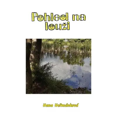 Pohled na louži - Hana Hermánková