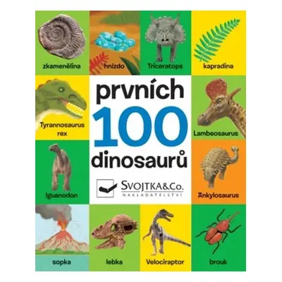 Prvních 100 dinosaurů - Vladimír Mátl