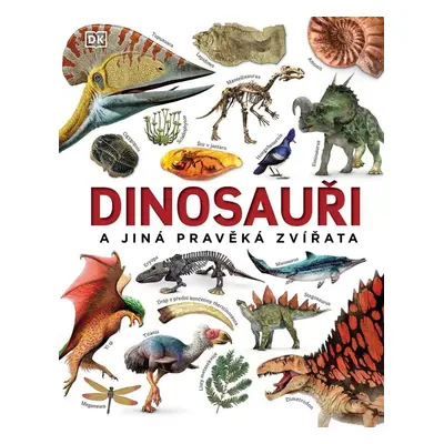 Dinosauři a jiná pravěká zvířata - John Woodward