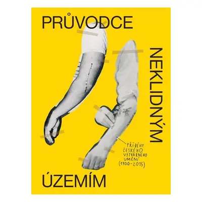 Průvodce neklidným územím - Příběhy českého výtvarného umění (1900–2015) - David Böhm