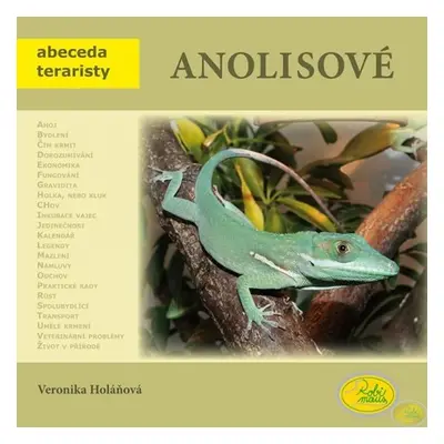 Anolisové - Abeceda teraristy - Veronika Holaňová