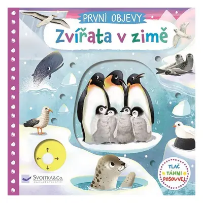 První objevy - Zvířata v zimě - Jenny Wren