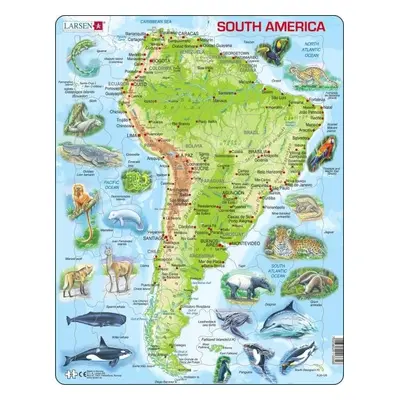 Puzzle South America Topographic Map