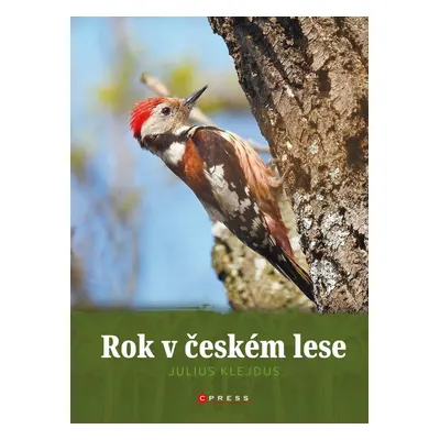 Rok v českém lese - Julius Klejdus