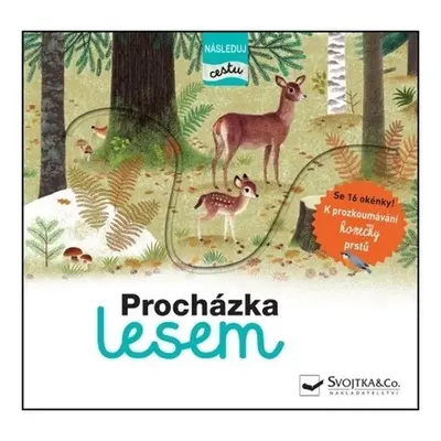 Procházka lesem - následuj cestu - Julie Faulques