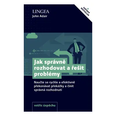 Jak správně rozhodovat a řešit problémy - Naučte se rychle a efektivně překonávat překážky a čin