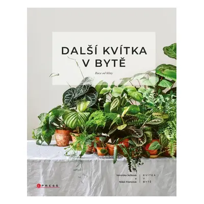 Další kvítka v bytě: Ruce od hlíny - Veronika Ježková