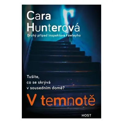 V temnotě - Cara Hunterová