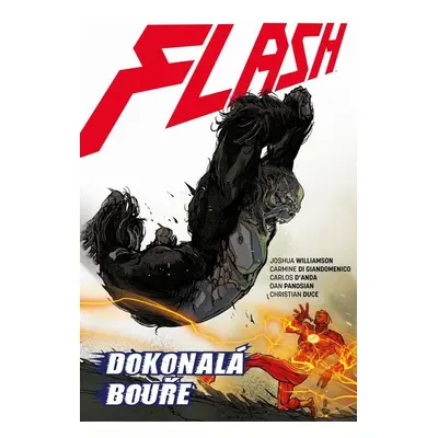 Flash 7 - Dokonalá bouře - Joshua Williamson