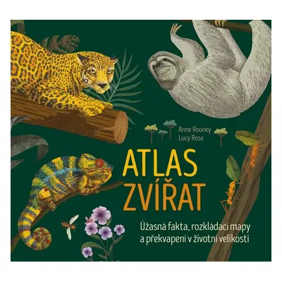 Atlas zvířat - Anne Rooney