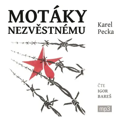 Motáky nezvěstnému - 3 CDmp3 - Karel Pecka