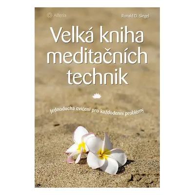 Velká kniha meditačních technik - Jednoduchá cvičení pro každodenní problémy - Ronald D. Siegel