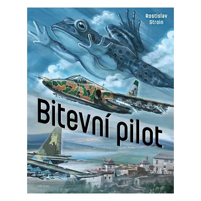 Bitevní pilot - Rostislav Stroin