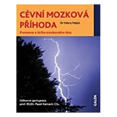 Cévní mozková příhoda - Valery Feigin