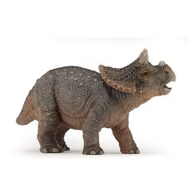 Triceratops mládě