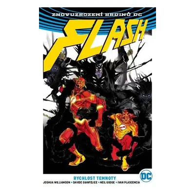 Flash 2 - Rychlost temnoty - Joshua Williamson