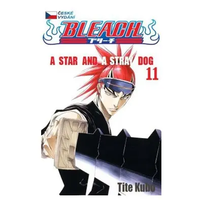 Bleach 11: A Star and a Stray Dog - Noriaki Kubo