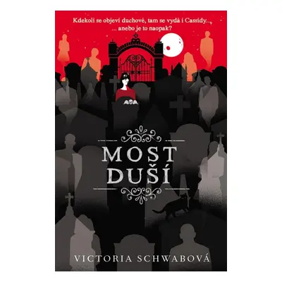 Most duší (Cassidy Blake 3) - Victoria Schwab