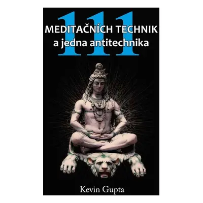 111 Meditačních technik a jedna antitechnika - Kevin Gupta